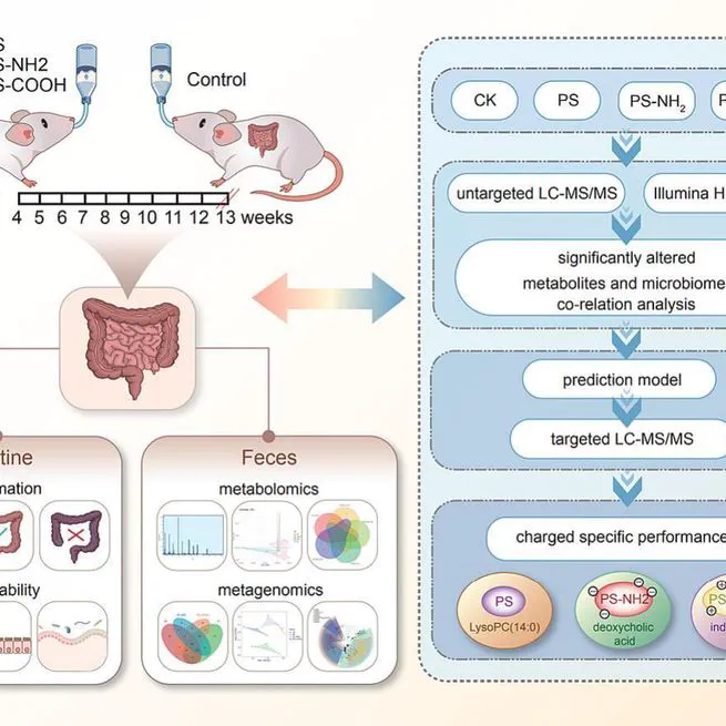 An integrated analysis of the fecal metabolome and metagenome reveals the distinct effects of differentially charged nanoplastics on the gut microbiota-associated metabolites in mice